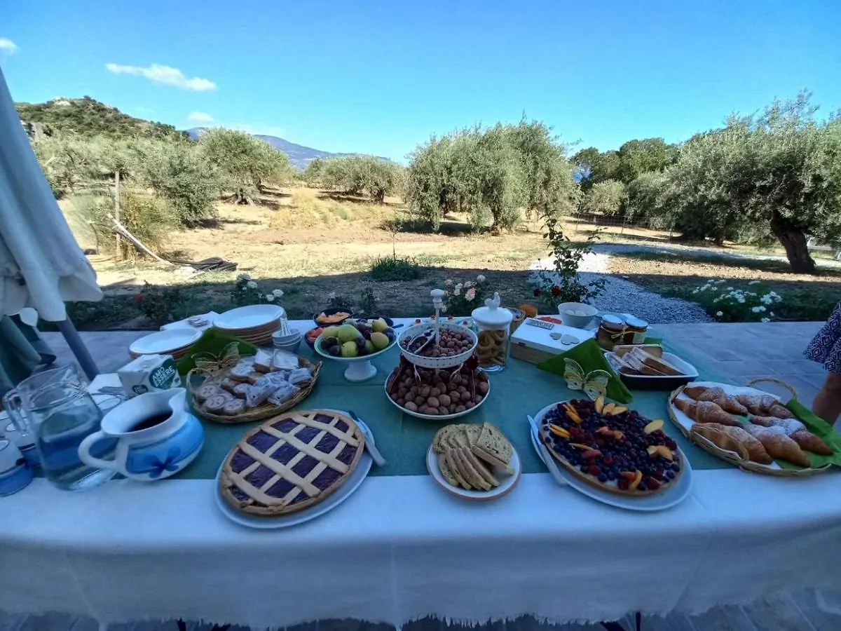 Bed and Breakfast L'Albero Della Manna Patti 0*,